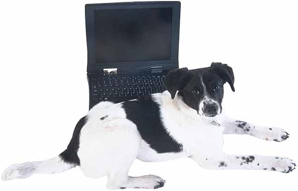 E-Course