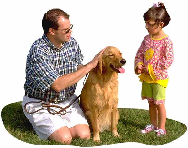 Dog Training